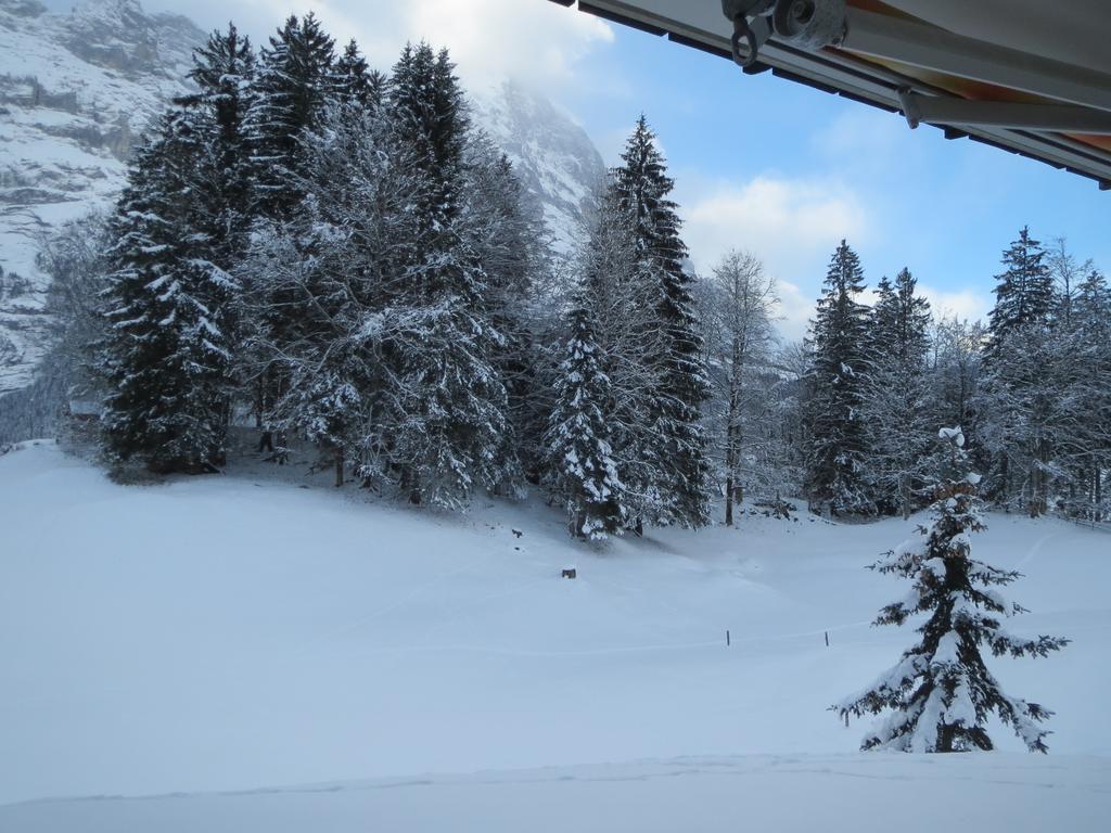 Mom - Alpine Boutique Apartments, Grindelwald Gletscher, Eiger View Terrace Studio Rom bilde