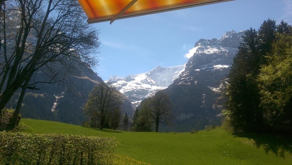 Mom - Alpine Boutique Apartments, Grindelwald Gletscher, Eiger View Terrace Studio Rom bilde
