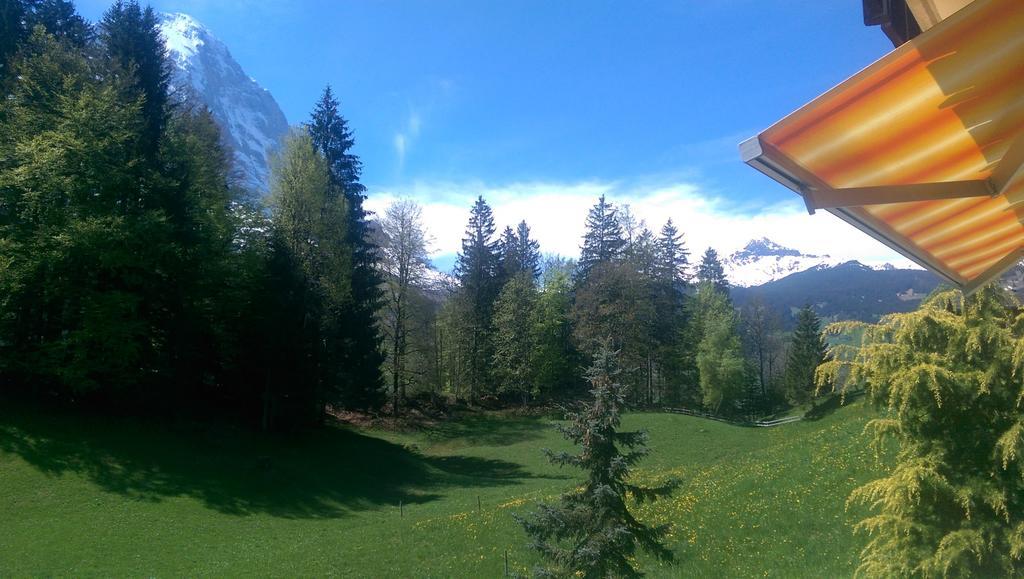 Mom - Alpine Boutique Apartments, Grindelwald Gletscher, Eiger View Terrace Studio Rom bilde