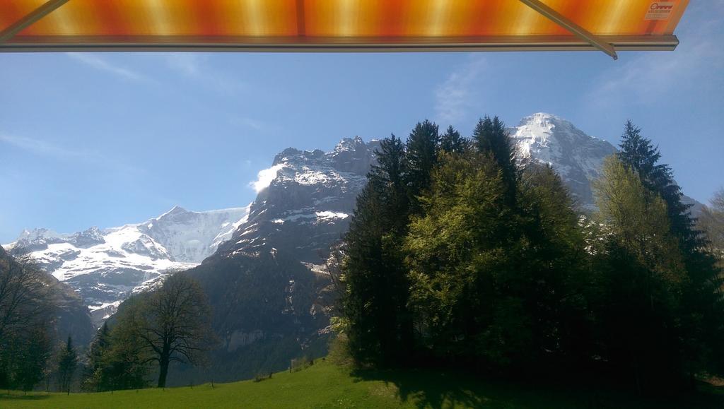 Mom - Alpine Boutique Apartments, Grindelwald Gletscher, Eiger View Terrace Studio Rom bilde