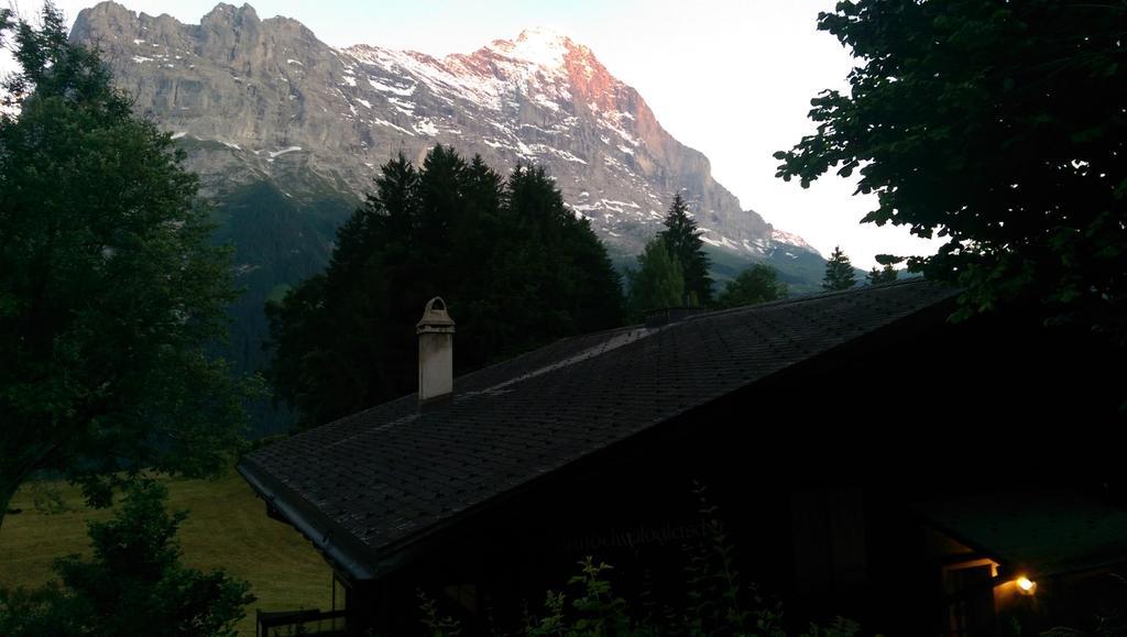Mom - Alpine Boutique Apartments, Grindelwald Gletscher, Eiger View Terrace Studio Rom bilde