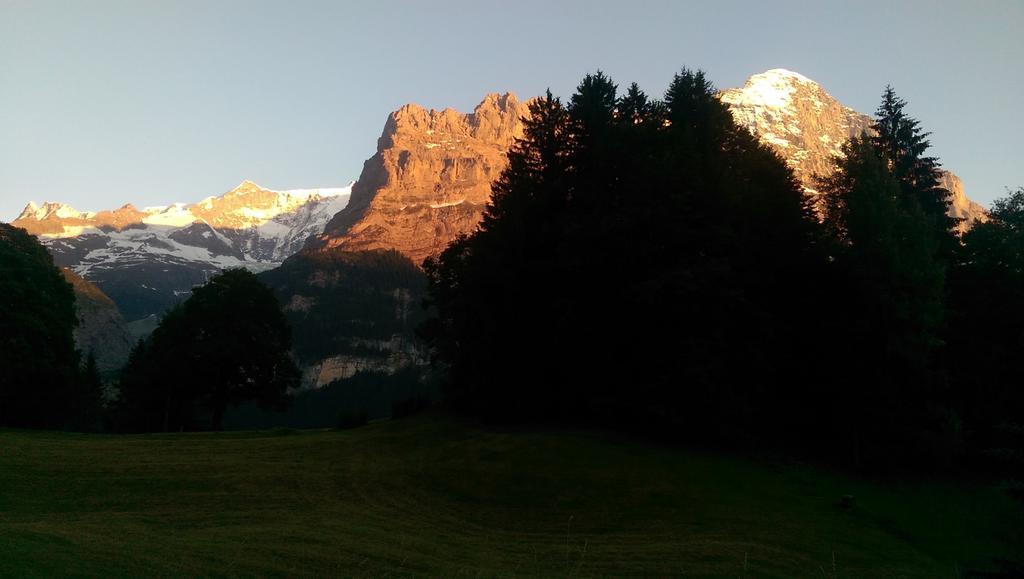 Mom - Alpine Boutique Apartments, Grindelwald Gletscher, Eiger View Terrace Studio Rom bilde