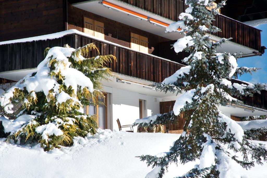 Mom - Alpine Boutique Apartments, Grindelwald Gletscher, Eiger View Terrace Studio Rom bilde