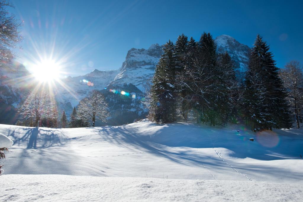 Mom - Alpine Boutique Apartments, Grindelwald Gletscher, Eiger View Terrace Studio Rom bilde